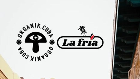 Cerveza La Fría