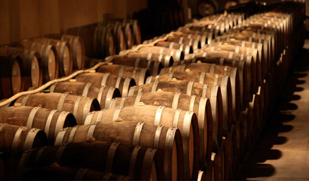 exportacion de vinos en venerable capital