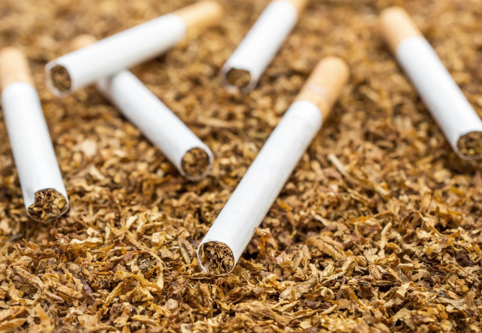 Conoce las regulaciones de la exportación del tabaco 