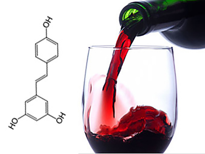 red wine heart resveratrol