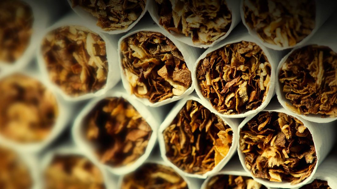 regulaciones de la exportación del tabaco